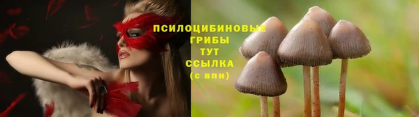 метадон Алзамай