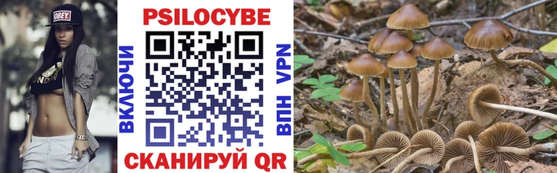 Псилоцибиновые грибы мицелий Новосиль