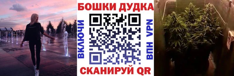 Марихуана Amnesia Новосиль